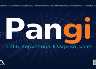 Pangi Sans Font Family preview image 1
