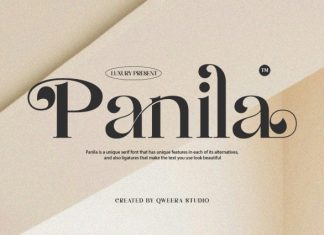 Panila Font preview image 1