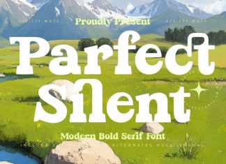 Parfect Silent Font preview image 1