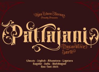 Patrajani Font preview image 1