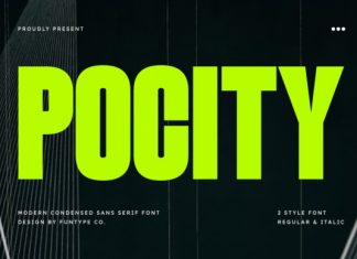 Pocity Font preview image 1