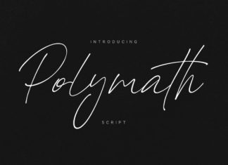 Polymath Handwritten Font preview image 1