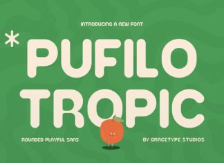 Pufilo Tropic Font preview image 1