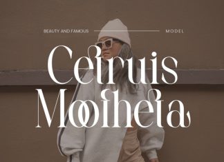 Qastic Estoda Font preview image 2