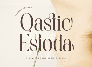 Qastic Estoda Font preview image 1