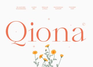 Qiona Font preview image 1
