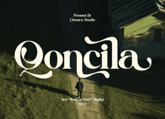 Qoncila Serif Font preview image 1
