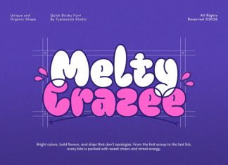 Quick Brisky Font preview image 3