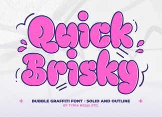 Quick Brisky Font preview image 1