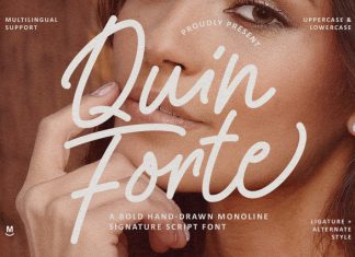 Quin Forte Font preview image 1