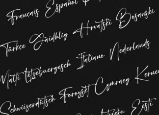 Quixotic Script Font preview image 3