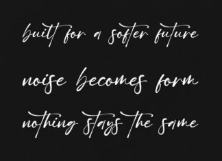 Quixotic Script Font preview image 2