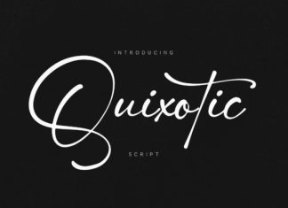 Quixotic Script Font preview image 1
