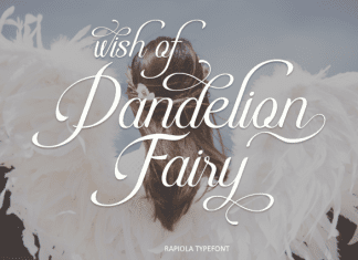 Rapiola Script Font preview image 3