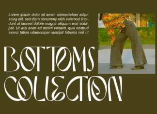 RESEARCH ASSOCIATE FONT preview image 2