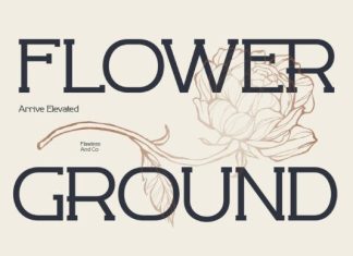 Revaston Font preview image 3