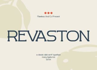 Revaston Font preview image 1