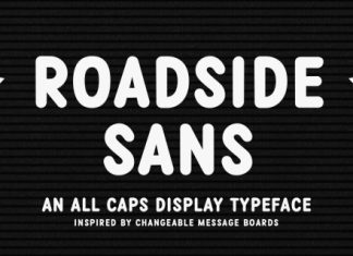 Roadside Sans Font preview image 1