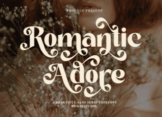Romantic Adore Font preview image 1