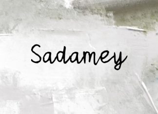 Sadamey Font preview image 1