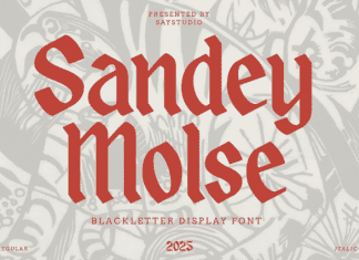 Sandey Molse Font preview image 1