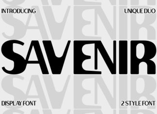 Savenir Display Font preview image 1
