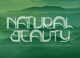 SCIENTIFIC MILESTONE FONT preview image 3