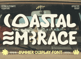 Segaro Font preview image 3