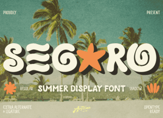 Segaro Font preview image 1