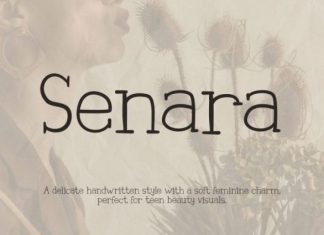 Senara Font preview image 1