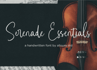 Serenade Essentials Handwritten Font preview image 1