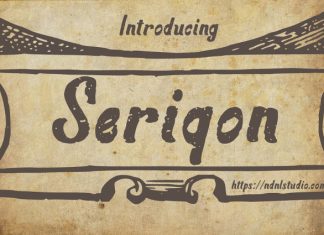 Seriqon Font preview image 1