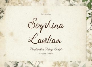 Serphina Lawliam Script Font preview image 1