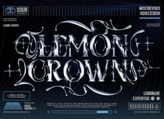 Shadow Chrome Font preview image 3