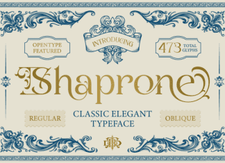 Shaprone Font preview image 1