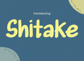 Shitake Font preview image 1
