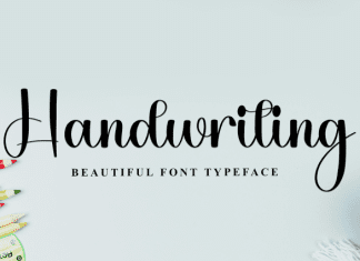 Shopia Southine Font preview image 3