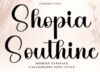 Shopia Southine Font preview image 1