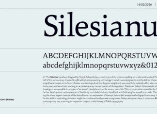 Silesianum Serif Font preview image 1