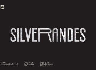 Silverandes Font preview image 1