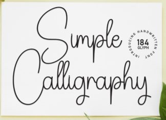 Simple Calligraphy Handwritten Font preview image 1