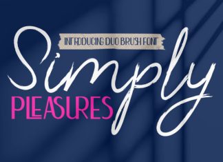 Simply Pleasures Font Duo preview image 1