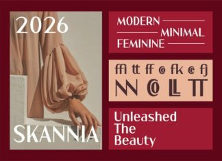 Skannia Font preview image 3
