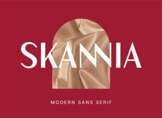 Skannia Font preview image 1