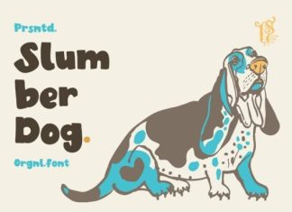 Slumber Dog Font preview image 1