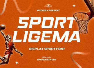Sport Ligema Font preview image 1
