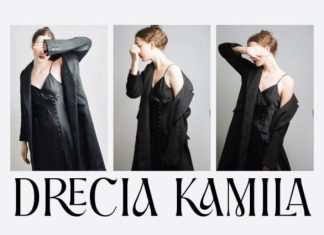 Srame Font preview image 2