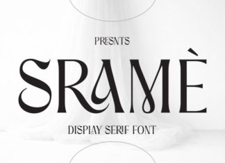 Srame Font preview image 1
