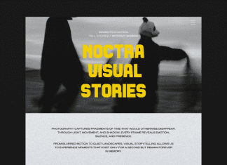 Stalfolk Font preview image 3