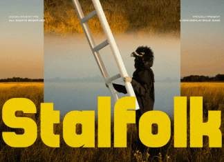 Stalfolk Font preview image 1